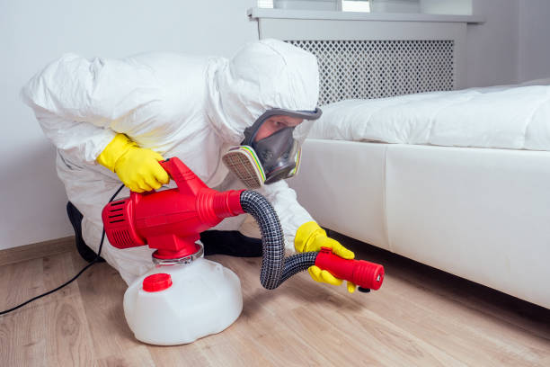 Best Commercial Pest Control Services  in Northdale, FL