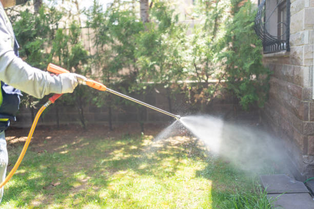 Best Commercial Pest Control Services  in Northdale, FL