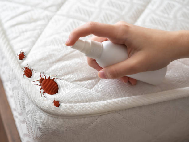 Best Best Pest Control Companies  in Northdale, FL
